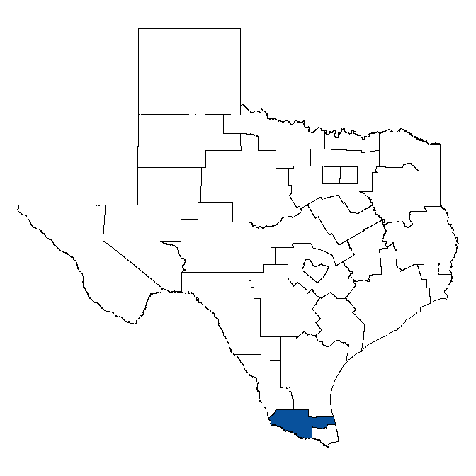 Map of Texas showing Lower Rio Grande Workforce Development Board
